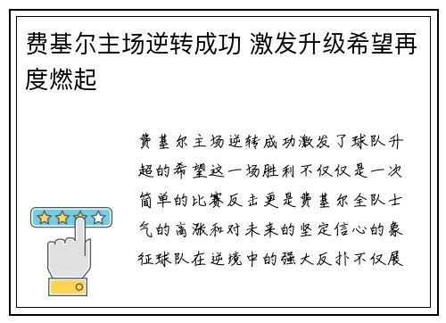 费基尔主场逆转成功 激发升级希望再度燃起