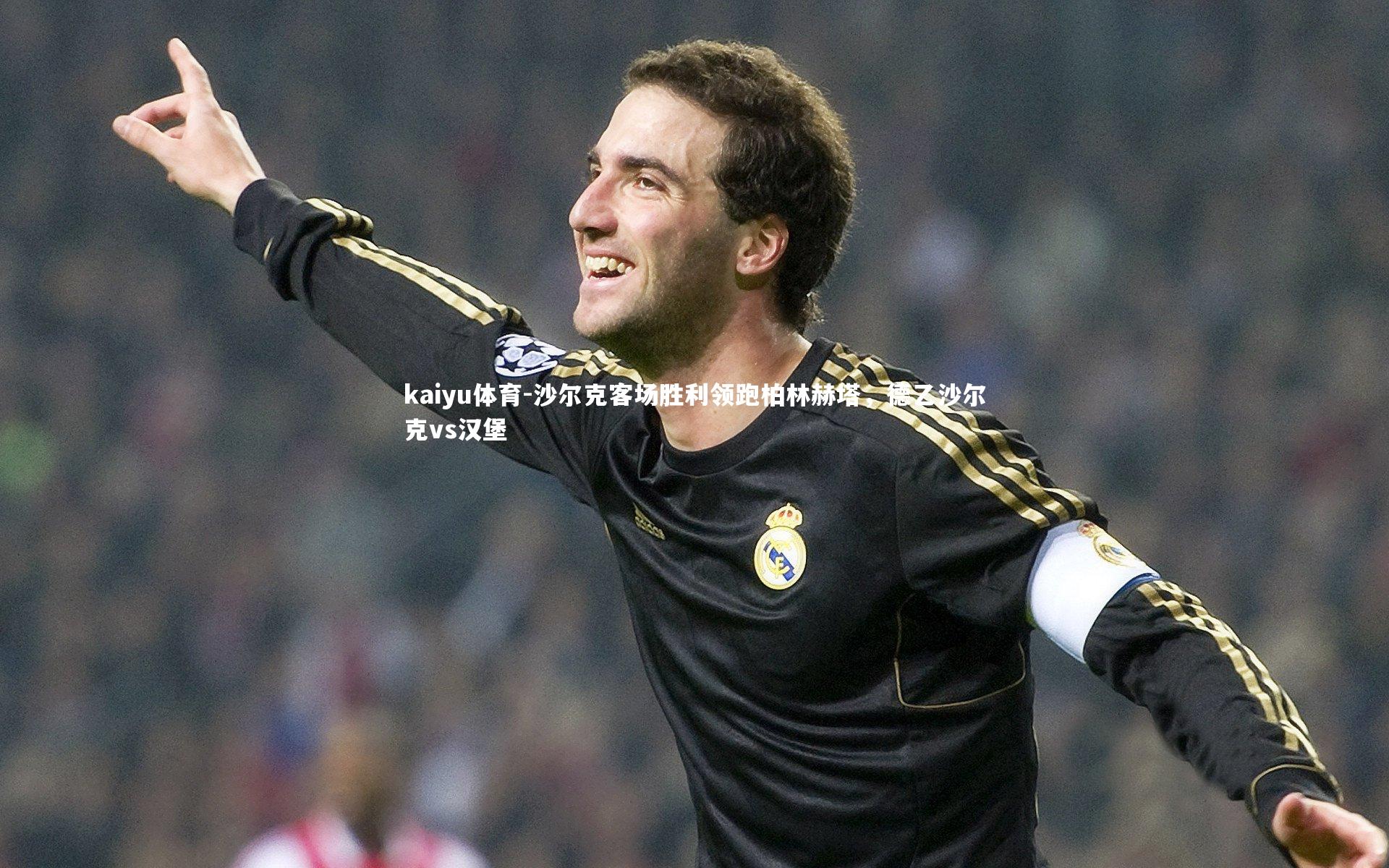 沙尔克客场胜利领跑柏林赫塔,德乙沙尔克vs汉堡