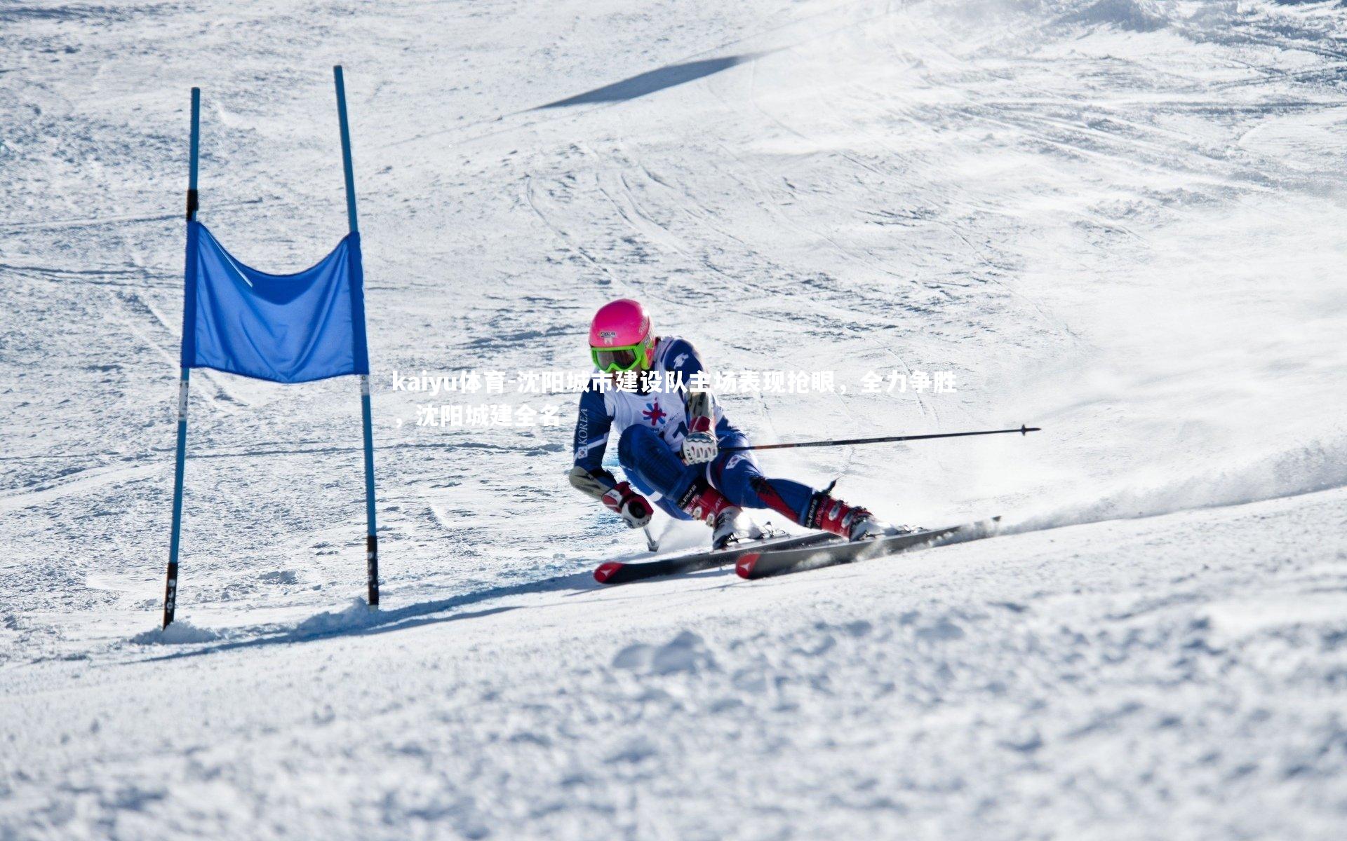 沈阳城市建设队主场表现抢眼,全力争胜,沈阳城建全名