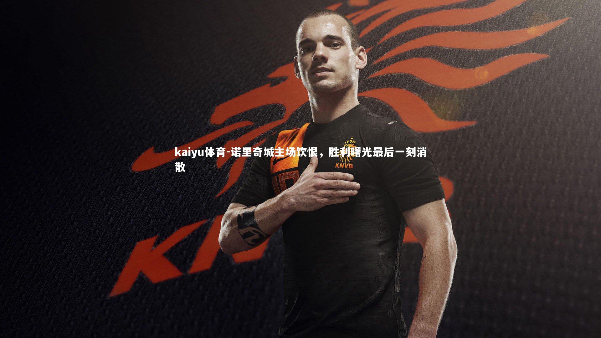 诺里奇城主场饮恨,胜利曙光最后一刻消散